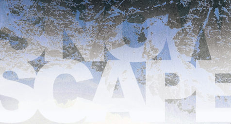 Art fair Tokyo 2013 DM