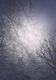 Eclipse#2 2015 (65×41cm)