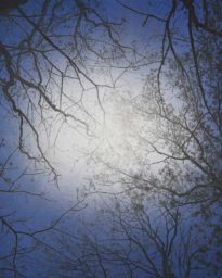 Eclipse 2015 (162×130cm)