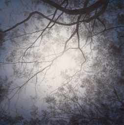 Eclipse 2014 (80×80cm)