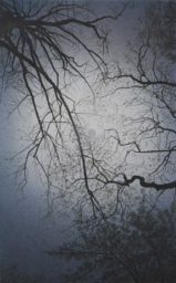 Eclipse広島EC#7(61x38cm)