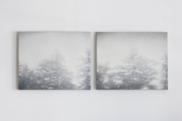 Shadows Dypthique (33x41cm each)