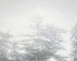 Shadows#2 2018 (50×50cm)