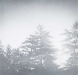 Shadows#1 2018 (50×50cm)