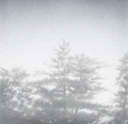 Shadows#2 2018 (50×50cm)