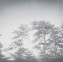 Shadows#3 2018 (50×50cm)