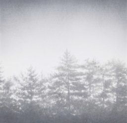 Shadows#4 2018 (50×50cm),