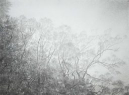 Akira_Kugimachi-Shadows-2018-(54×73cm)